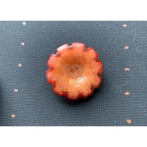 Vintage 1” Red Apricot Orange Lucite Button, Shank Mid Century
